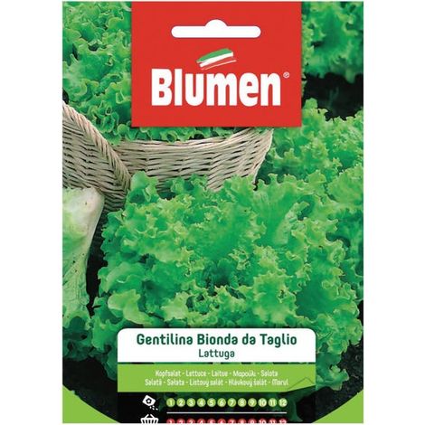LATTUGA GENTILINA BIONDA DA TAGLIO BLUMEN
