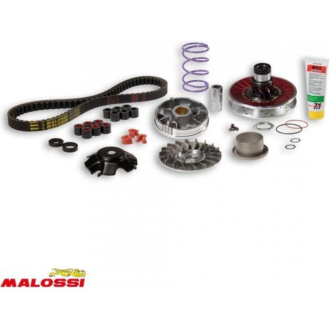 Variator malossi für Roller piaggio 50 fly 2t nach 2005 6115781 /