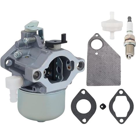 Carburetor compatible with part numbers BS690119, 694526, 690115, 690111, 690118, 499029 and 19G412--BIEMMEDUE (1/3)