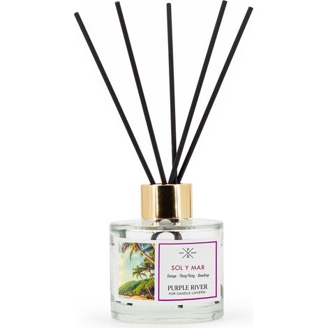 Diffusore di fragranza a bastoncini in vetro da 100 ml - Fragranza a lunga durata