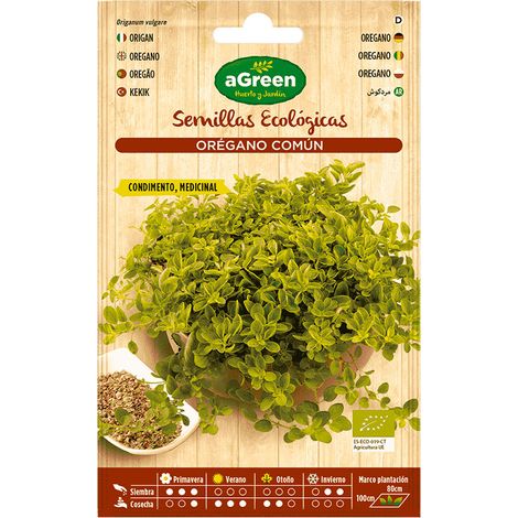 Beutel mit Öko-Agreen-Oreganosamen