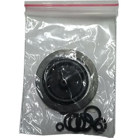 RIC.X POMPA IRRORATRICE  6LT 95186 GUARNIZIONI IN KIT