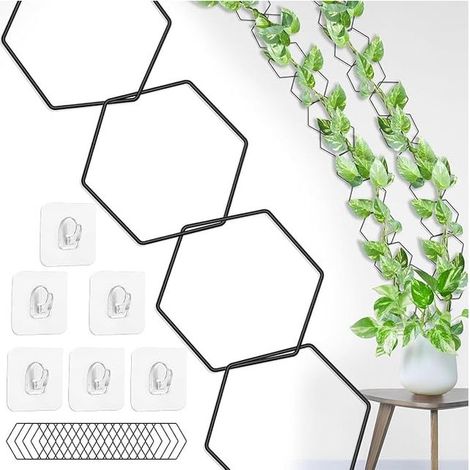 Chain Trellis for Climbing Plants - Wall Mount Pothos, Monstera, Hedera - Indoor Planters (1/5)