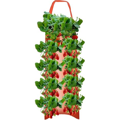jardinières suspendues pour fraises plantation de tomates poivrons fruits 10 trous Lot de 3 Rouge (1/5)
