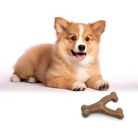 Jouet indestructible pour animaux de compagnie - Os résistant aux mâchers pour le nettoyage des dents (1/3)