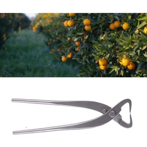 Ciseaux de Jardinage en Alliage de Chrome 20CM pour Taille et Élagage, Outil de Modélisation pour Bonsaï, Argent - KZQ (1/5)