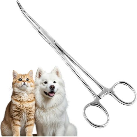 Pince à Clamper Courbée 18 cm en Acier Inoxydable 304 - Pince Hémostatique pour Soins Animaliers et Pêche - Anti-Rouille pour Poils de Chat/Chien (1/5)
