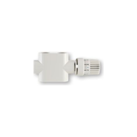 Corps de vanne bitube droit BLANC - RADSON -598001