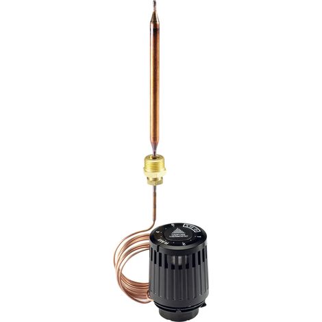 Danfoss Élément thermostatique RAVK Sonde à distance, 25-65C, capillaire 2,0 m, 013U8063