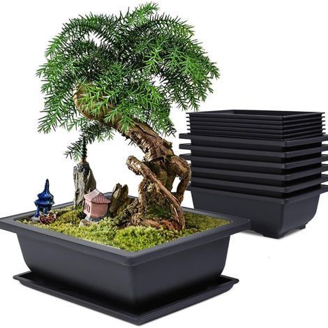 Lot de 6 Pot pour Bonsai avec Soucoupe, 16x12x6cm Pots de Fleurs en Plastique avec Outillage de Jardin, Pot Bonsai Rectangulaire avec Trou d'échappement pour Jardins Balcon Extérieur Intérieur (1/5)