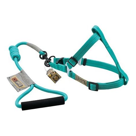 Di Zeus ArnМ©s e Belt Round S Aqua 1.5x35-55cm