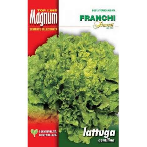 SEMI LATTUGA GENTILINA BUSTA MAGNUM FRANCHI SEMENTI