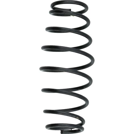 KS TOOLS Válvula de muelle - 515.1200-R042P