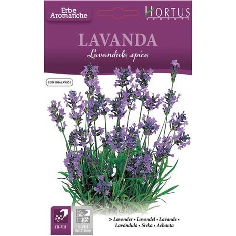 Lavanda Duftöl für Aromatherapie