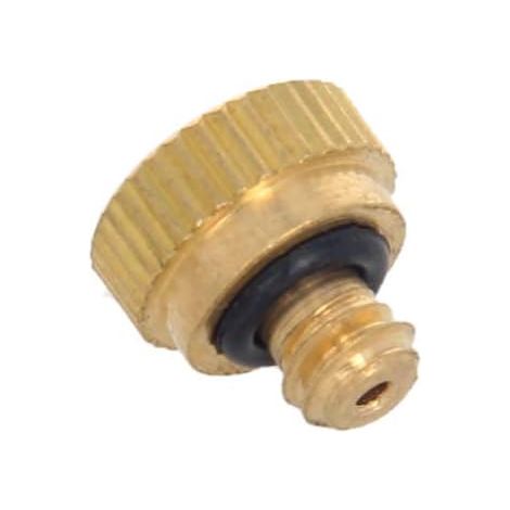 Lot de 10 buses brumisation en laiton - Filetage 0,6 mm Tête rechange pour système refroidissement extérieur 10PCS 0.3 (1/5)
