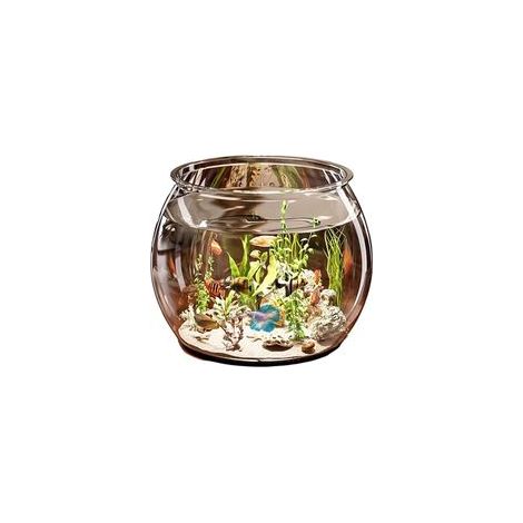 1x Aquarium, Klarglas, 6L, mit Sauerstoffpumpe, für Büro oder Wohnzimmer (1/5)