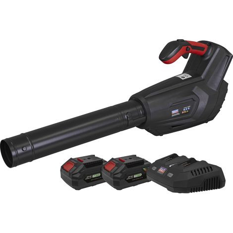 Sealey CP40VBKIT Cordless Blower Kit 40V 4Ah SV20 Series