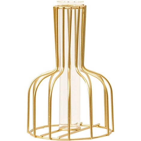 Vase Hydroponique - Support Métallique Or - Verre Borosilicaté Transparent - Pour Plantes en Eau - Décoration Intérieure Table Étagère - 1 Pièce (1/3)
