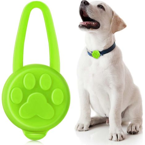 Étiquettes pour colliers d'animaux phosphorescentes (Étiquettes pour animaux) (1/5)