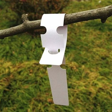 200 Étiquettes Plastique Blanches pour Plantes Arbres 2 x 20 cm Grande Surface Écriture (1/4)
