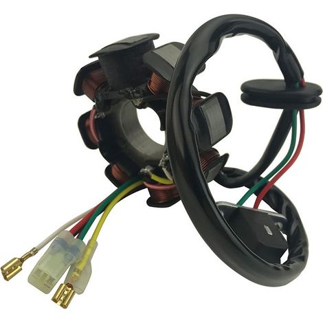 Bobina statore kigbf 55139004000 per motociclette KTM 125, 150, 200, 250 e 300 (1/2)