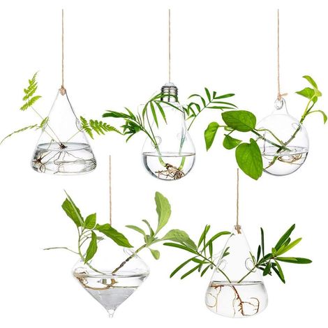 Jardinières Suspendues en Verre Récipients pour Plantes Aquatiques Terrarium Intérieur Extérieur 2 Trous 5 Pièces/Ensemble avec des Cordes Corde pour Le Jardin De La Maison Balcon (1/5)