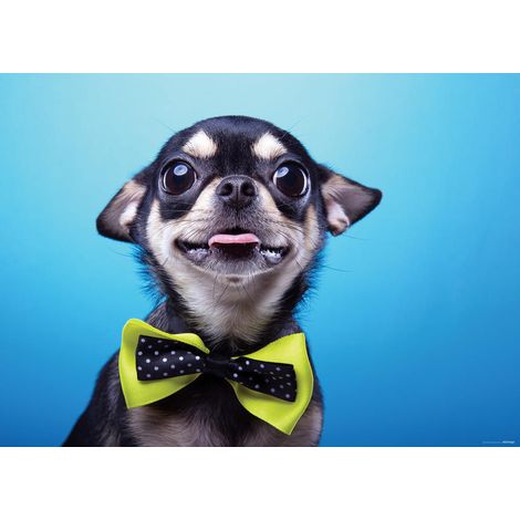 Small Dog, photo murale, 160 x 115 cm, 1 part (1/2)