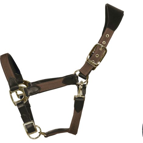 EQuest Halfter Unique für Pferde - Messing Finish, Mocha - L Warmblut