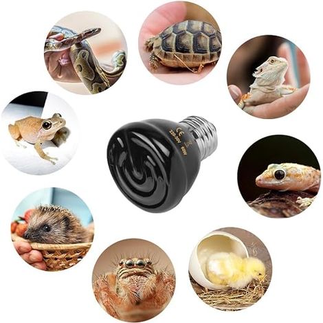 Ampoule Céramique Chauffante Lampe 220V, E27 60W Lampe Chauffante Reptiles Noire, Lampe Infrarouge Chauffante Animal Lézard, Tortue, Poussin, Serpent