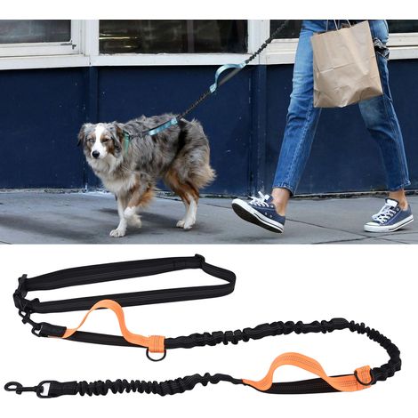 Laisse de jardin portable pour animaux de compagnie, laisse de course, réfléchissante, laisse rétractable à double poignée pour chien, orange. (1/5)