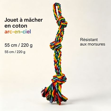 Jouet pour Grand et Moyen Chien - Corde à Nœuds en Coton Arc-en-Ciel 55cm 220g, Jouet à Mâcher Résistant, Jeu Interactif de Traction, Nettoyage Dentaire, Accessoire Robuste avec Poignée, Chien Actif (1/5)