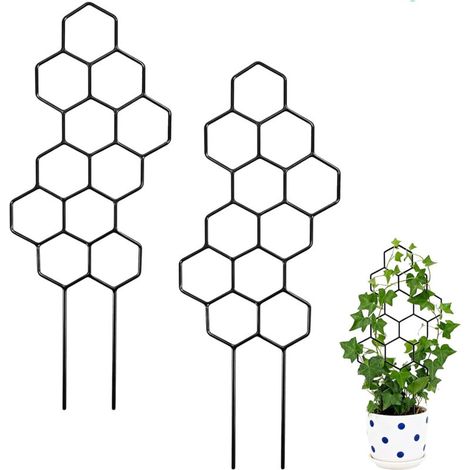 Lot de 2 Treillis Métalliques pour Plantes – Support Grimpant pour Monstera, Pothos, Hoya et Plantes en Pot (1/5)