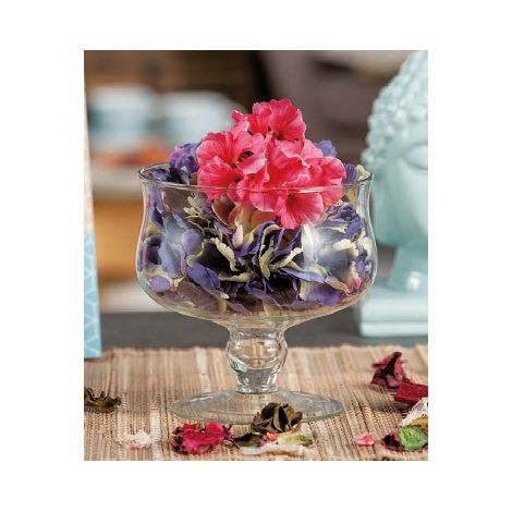 Vaso Centrotavola in Vetro Trasparente con Piede Shana 16 x 16 cm (1/2)