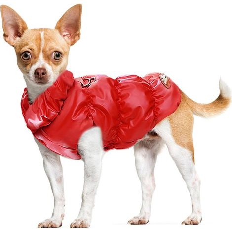 Manteau d'hiver chaud pour chien - Manteaux pour chien par temps froid - Gilet doublé polaire pour chien - Imperméable et coupe-vent pour chien (1/5)