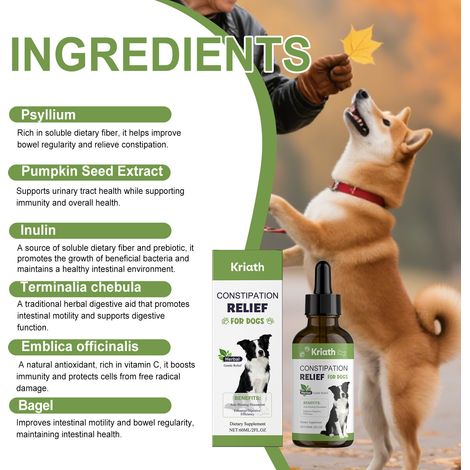 Solution de complément alimentaire douce et nourrissante pour chiens, 60 ml. Assure une absorption optimale et favorise une croissance saine. (1/5)