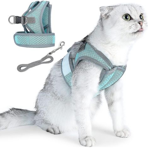 Harnais et laisse pour chat, ensemble gilet anti-fugue souple et réglable, respirant, léger et facile à contrôler, idéal pour les promenades en extérieur - Taille L - Bleu (1/5)