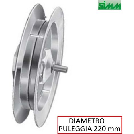 PULEGGIA DIAMETRO 220 MM CON CALOTTA PER RULLO FERRO (1/2)