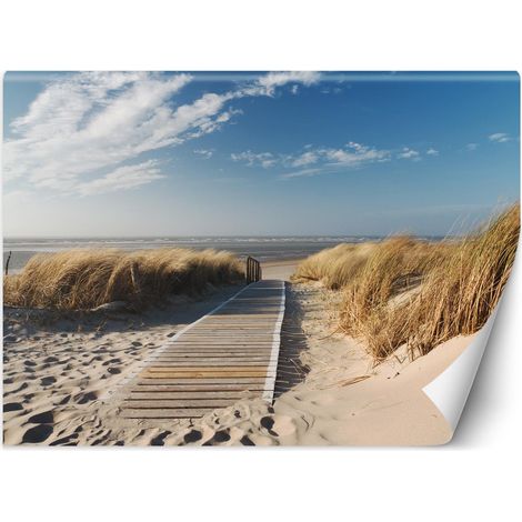 Fototapete, Strand-Meeresdünen – 254x184 (1/5)