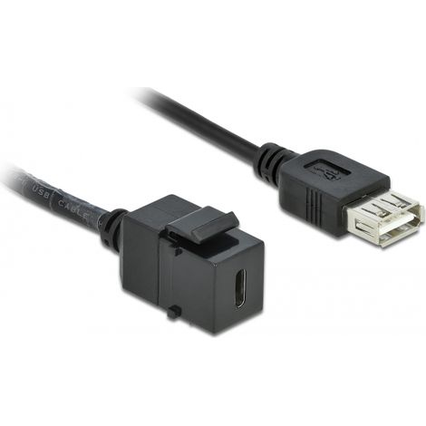 Delock MÃ³dulo Keystone USB 2.0 C hembra  USB 2.0 A hembra con cable