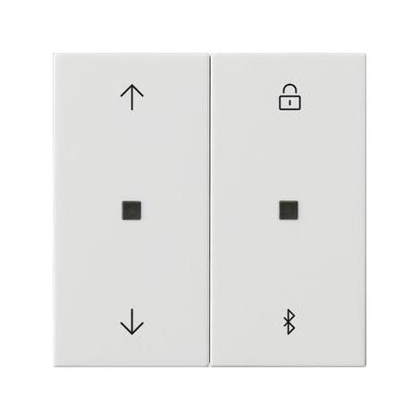 Gira 3000 Bluetooth-Programmiergerät Weiß Modern (1/5)