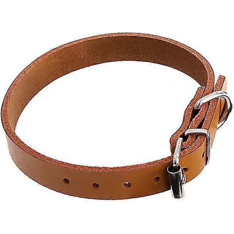 Collier chien en cuir véritable avec anneau métallique D, réglable, souple, pour petit à grand chien, couleur café, taille S. (1/4)
