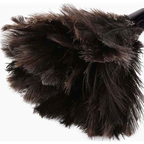 Vente directe d'usine de plumeau télescopique en plumes d'autruche, plumeau, plumeau à plumes, brosse douce pour le nettoyage. (1/5)