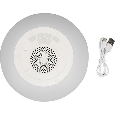 Enceinte Bluetooth Flottante IPX7 pour Piscine et Spa avec Micro Intégré et Lumières RGB (1/5)