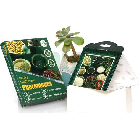 Pièges à mites, pièges solides et collants pour cuisines et armoires, pour tuer les mites, la pyrale du maïs, la pyrale indienne des céréales, 10pc (1/3)