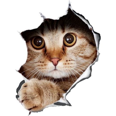 Autocollant de voiture - DILWE - 3D Drôle Animaux Chat - PVC - 21x29 cm - Blanc (1/4)