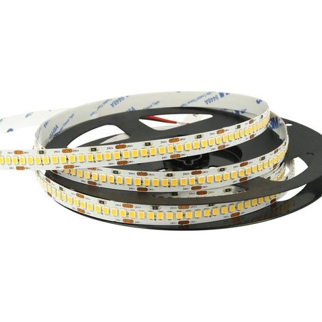 24V Bobina Striscia Led 20W/M Bianco Freddo 6000K 1200 Smd 2835 5 Metri IP20