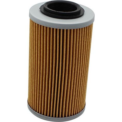 Filtre à huile compatible 0956745, Buell Q10641AM, Can-Am 42095674 (1/5)