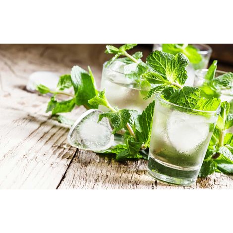 Tableau deco cocktail virgin mojito, 80x50cm (1/5)