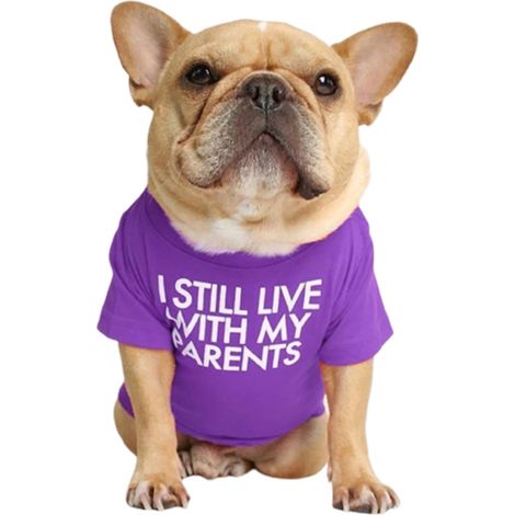 T-shirt Pour Chien - Col Rond - Coton Doux - Léger Élastique - Usage Quotidien Et Sportif - S À XXL (1/5)