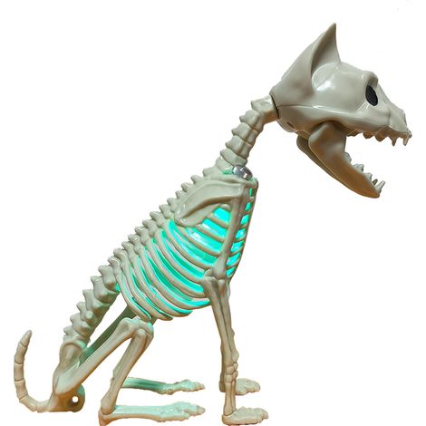 Halloween-Dekorationszubehör: Katzenskelett, gruseliges Katzenskelett (mit Beleuchtung) (1/2)